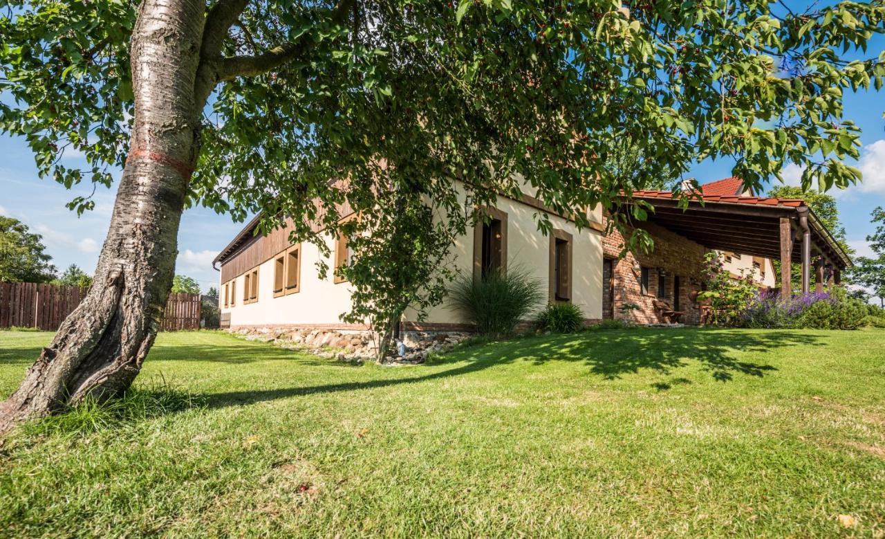 Penzion U Lišky Jarosov nad Nezarkou Esterno foto